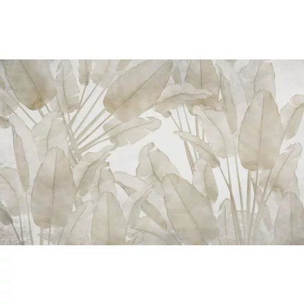 Wallvision / Poszter