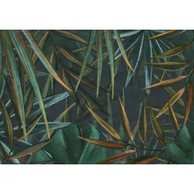 Wallvision / Poszter