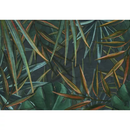 Wallvision / Poszter