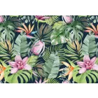 Wallvision / Poszter