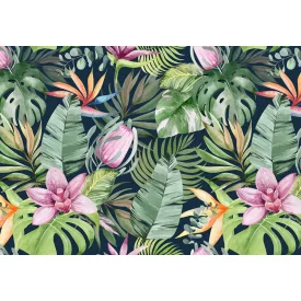 Wallvision / Poszter