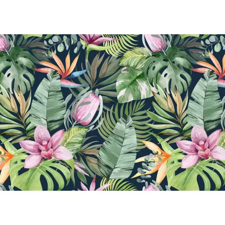 Wallvision / Poszter