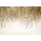 Wallvision / Poszter