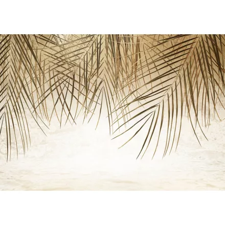 Wallvision / Poszter