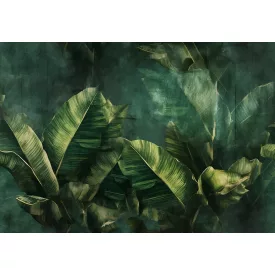 Wallvision / Poszter