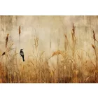 Wallvision / Poszter