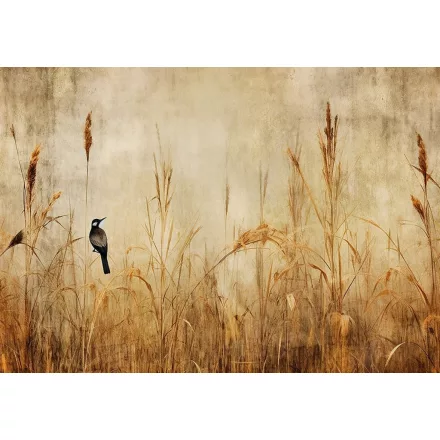 Wallvision / Poszter