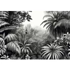 Wallvision / Poszter