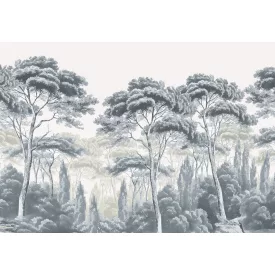 Wallvision / Poszter