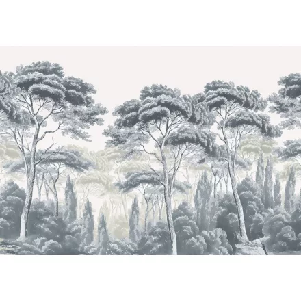 Wallvision / Poszter