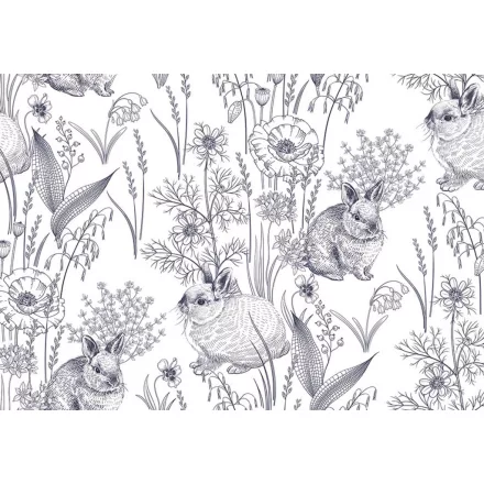 Wallvision / Poszter