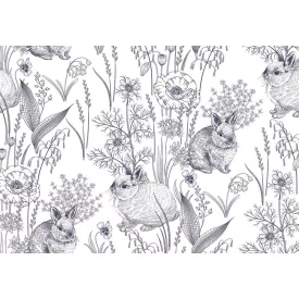 Wallvision / Poszter