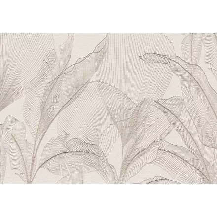 Wallvision / Poszter