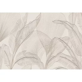 Wallvision / Poszter