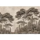 Wallvision / Poszter