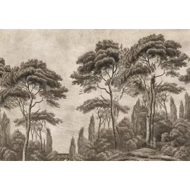 Wallvision / Poszter