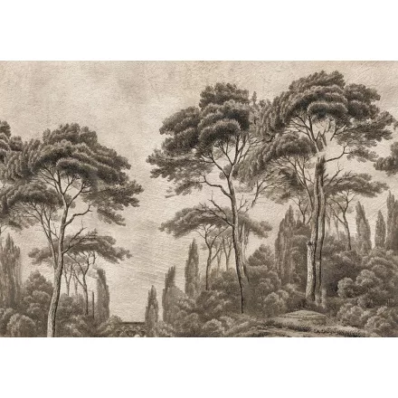 Wallvision / Poszter