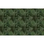 Wallvision / Poszter