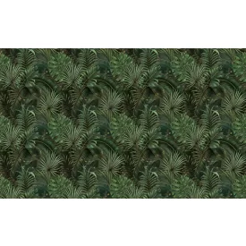 Wallvision / Poszter