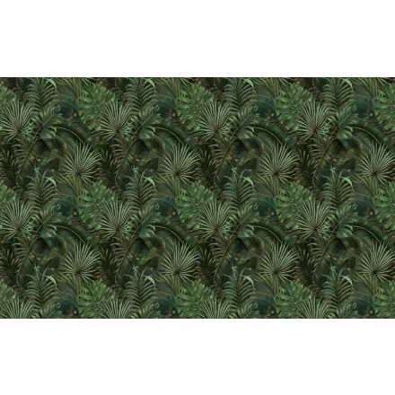 Wallvision / Poszter