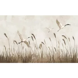 Wallvision / Poszter