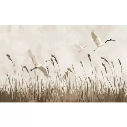 Wallvision / Poszter