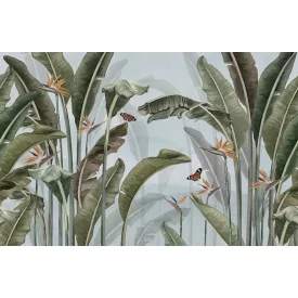 Wallvision / Poszter