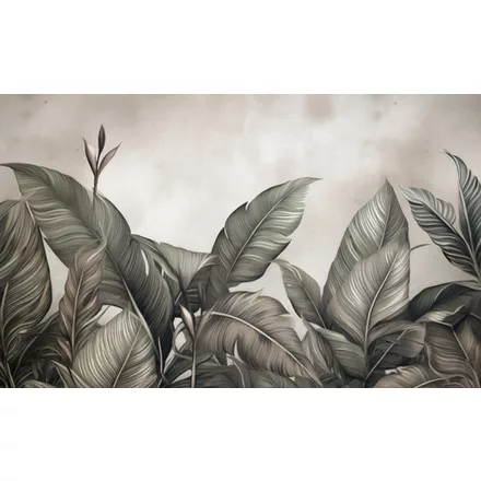 Wallvision / Poszter