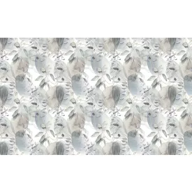 Wallvision / Poszter