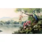 Wallvision / Poszter