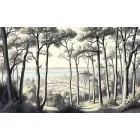 Wallvision / Poszter