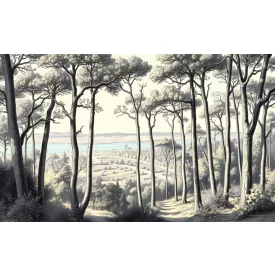 Wallvision / Poszter