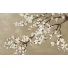 Wallvision / Poszter