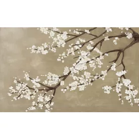 Wallvision / Poszter