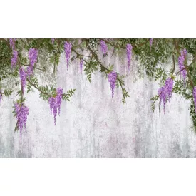 Wallvision / Poszter