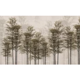 Wallvision / Poszter