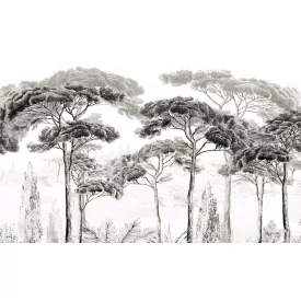 Wallvision / Poszter