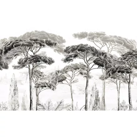 Wallvision / Poszter