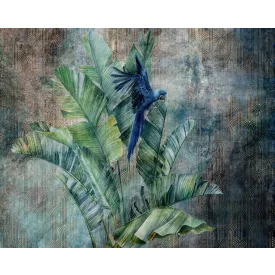 Wallvision / Poszter