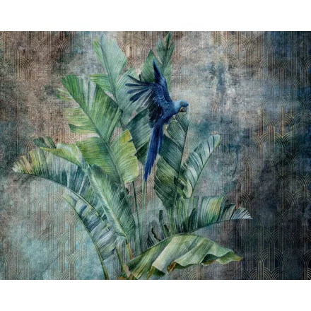 Wallvision / Poszter