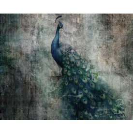 Wallvision / Poszter