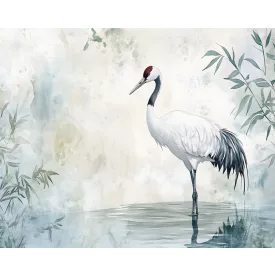 Wallvision / Poszter