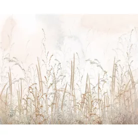 Wallvision / Poszter