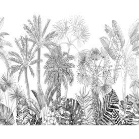 Wallvision / Poszter