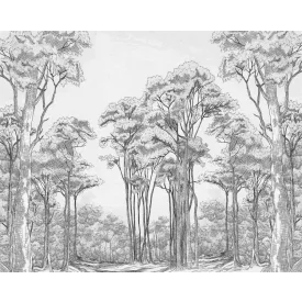 Wallvision / Poszter