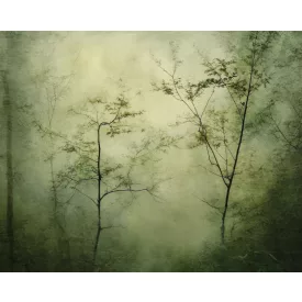 Wallvision / Poszter