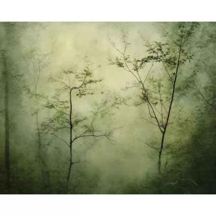 Wallvision / Poszter