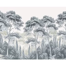 Wallvision / Poszter