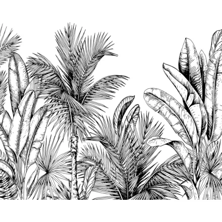 Wallvision / Poszter