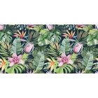 Tapéta / Wallvision